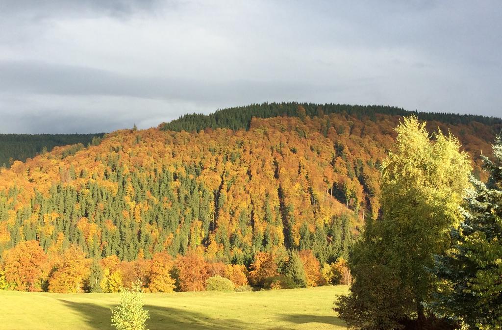 Ferienwohnungen Gehlberg Екстериор снимка